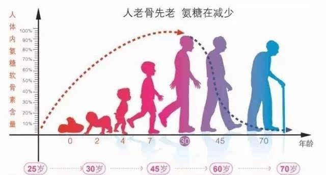 氨糖是什么？氨糖有什么作用？