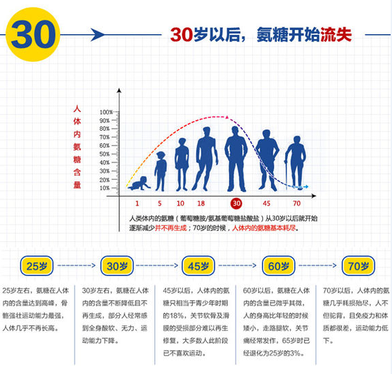氨糖有哪些作用？有没有相关的实验？