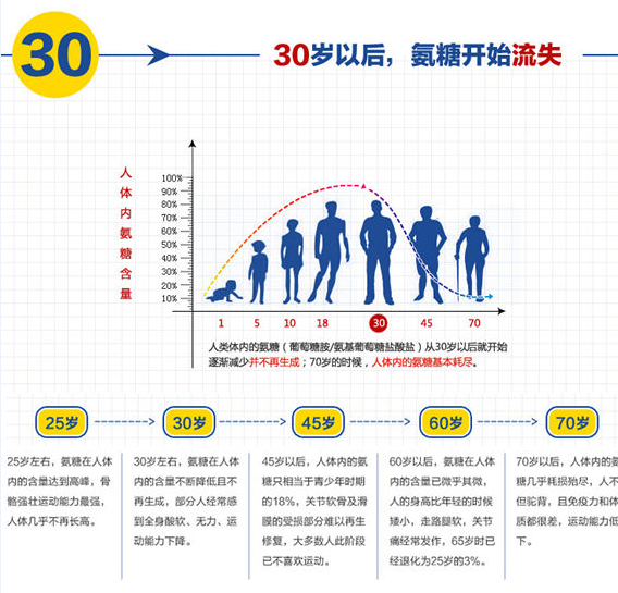 氨糖软骨素适合哪些人群？能够起到哪些作用？
