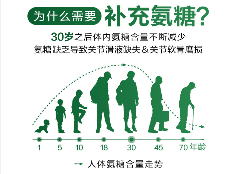 维力维带你了解氨糖软骨素是什么