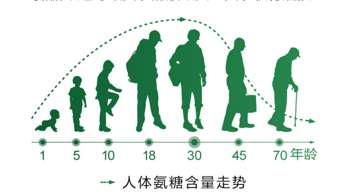 氨糖软骨素的成分对于关节健康有哪些帮助呢？