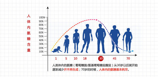氨糖软骨素哪个牌子好？三大标准教你分辨