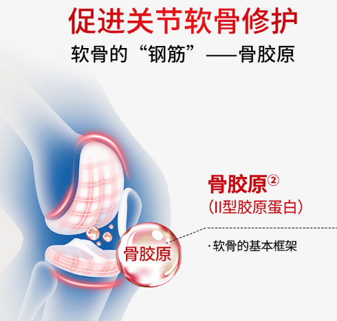 氨糖什么时候吃效果最好？教你正确服用氨糖软骨素