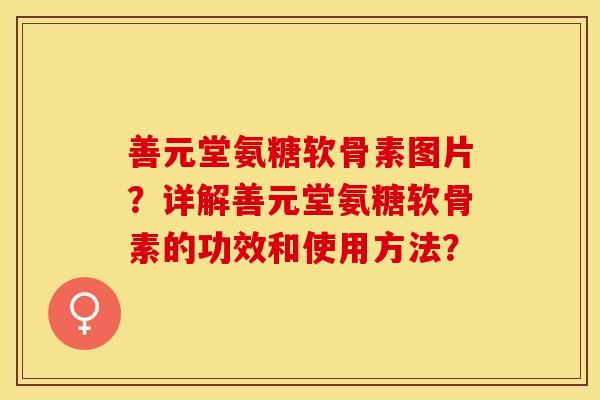 善元堂氨糖软骨素图片？详解善元堂氨糖软骨素的功效和使用方法？