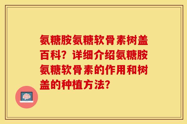 氨糖胺氨糖软骨素树盖百科？详细介绍氨糖胺氨糖软骨素的作用和树盖的种植方法？