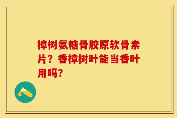 樟树氨糖骨胶原软骨素片？香樟树叶能当香叶用吗？
