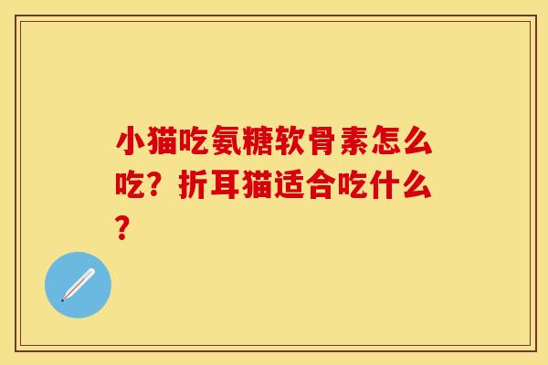 小猫吃氨糖软骨素怎么吃？折耳猫适合吃什么？