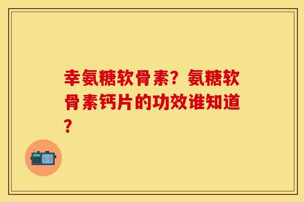 幸氨糖软骨素？氨糖软骨素钙片的功效谁知道？