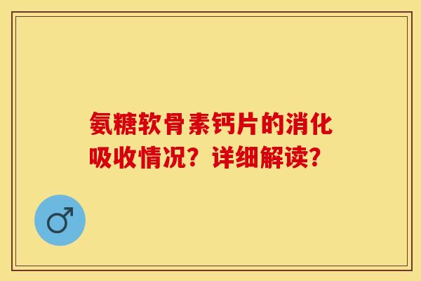 氨糖软骨素钙片的消化吸收情况？详细解读？