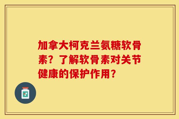 加拿大柯克兰氨糖软骨素?了解软骨素对关节健康的保护作用? 加拿大柯克兰氨糖软骨素?了解软骨素对关节健康的保护作用?