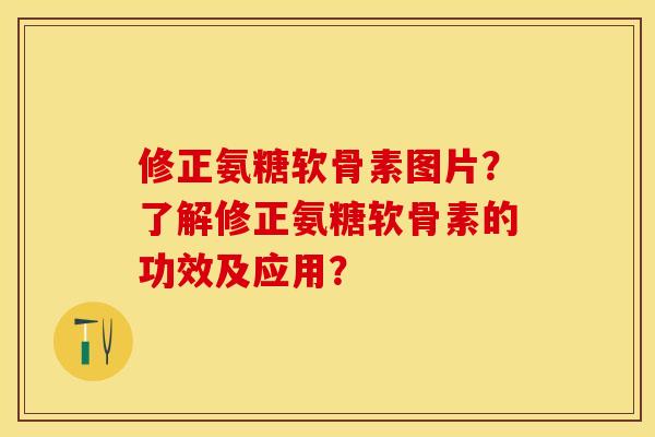 修正氨糖软骨素图片？了解修正氨糖软骨素的功效及应用？