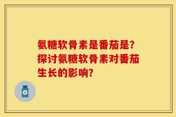 氨糖软骨素是番茄是？探讨氨糖软骨素对番茄生长的影响？
