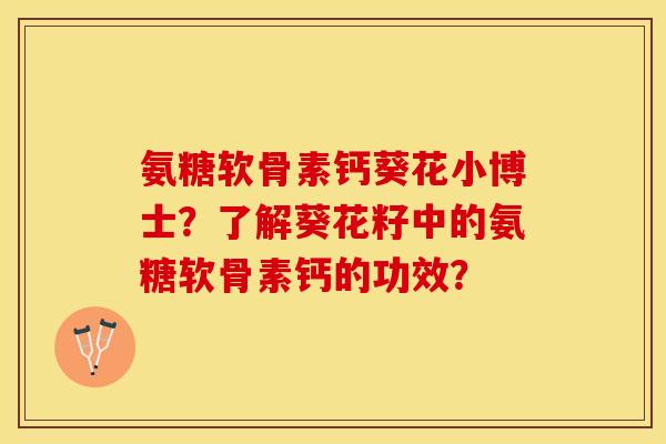 氨糖软骨素钙葵花小博士？了解葵花籽中的氨糖软骨素钙的功效？