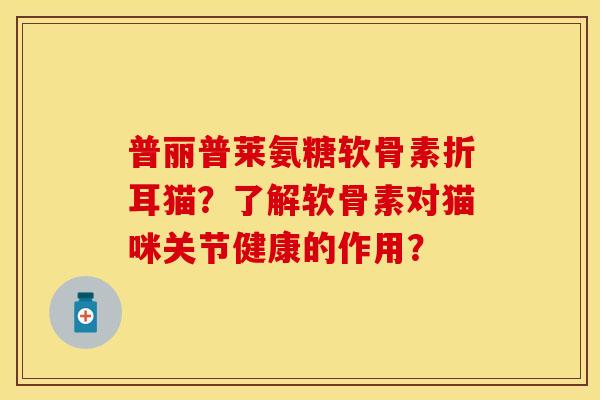 普丽普莱氨糖软骨素折耳猫？了解软骨素对猫咪关节健康的作用？