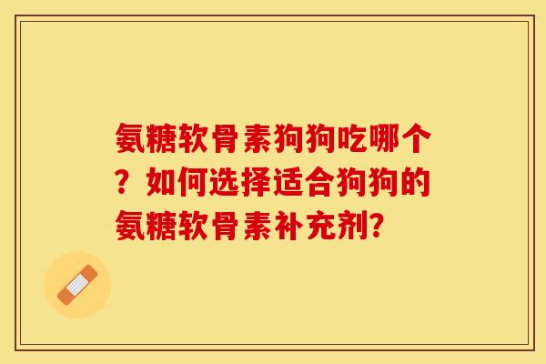 氨糖软骨素狗狗吃哪个？如何选择适合狗狗的氨糖软骨素补充剂？