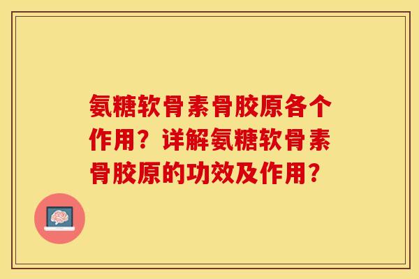 氨糖软骨素骨胶原各个作用？详解氨糖软骨素骨胶原的功效及作用？