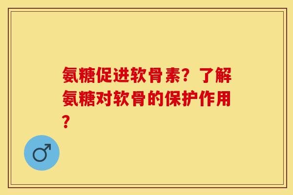 氨糖促进软骨素？了解氨糖对软骨的保护作用？