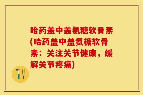 哈药盖中盖氨糖软骨素(哈药盖中盖氨糖软骨素:关注关节健康,缓解关节) 哈药盖中盖氨糖软骨素(哈药盖中盖氨糖软骨素:关注关节健康,缓解关节)