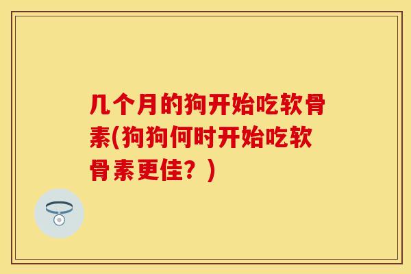 几个月的狗开始吃软骨素(狗狗何时开始吃软骨素更佳？)