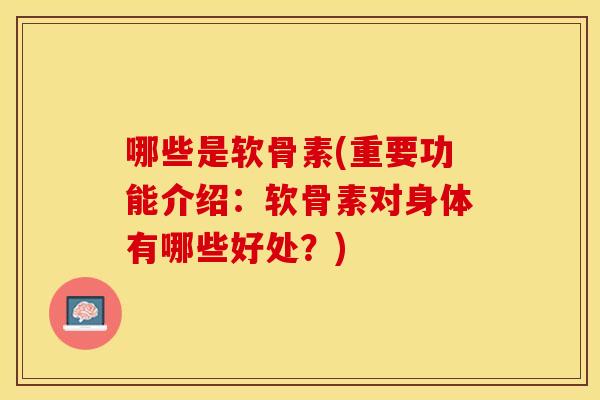 哪些是软骨素(重要功能介绍：软骨素对身体有哪些好处？)