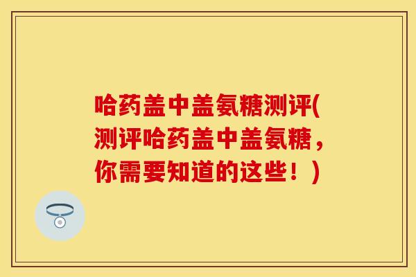 哈药盖中盖氨糖测评(测评哈药盖中盖氨糖，你需要知道的这些！)