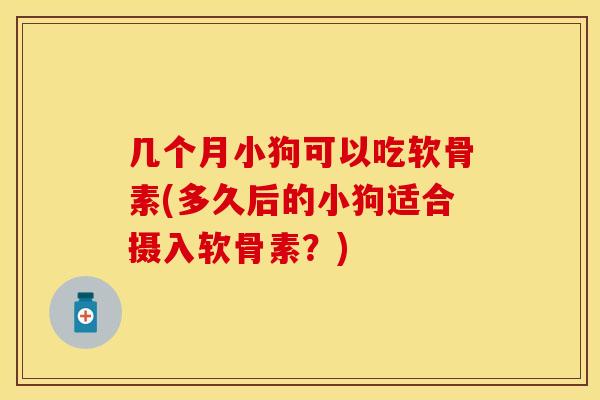 几个月小狗可以吃软骨素(多久后的小狗适合摄入软骨素?) 几个月小狗可以吃软骨素(多久后的小狗适合摄入软骨素?)