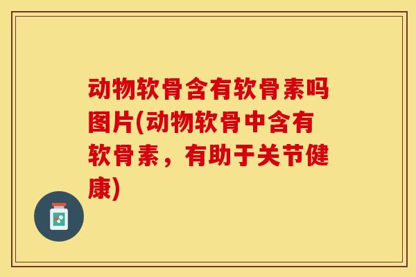 动物软骨含有软骨素吗图片(动物软骨中含有软骨素，有助于关节健康)