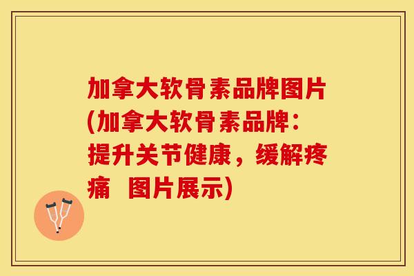 加拿大软骨素品牌图片(加拿大软骨素品牌：提升关节健康，缓解疼痛  图片展示)