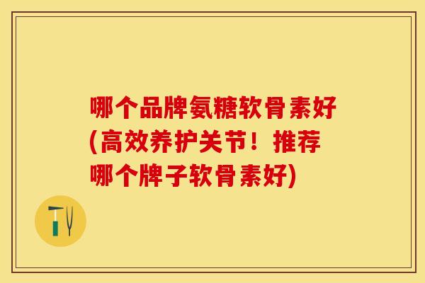 哪个品牌氨糖软骨素好(高效养护关节！推荐哪个牌子软骨素好)