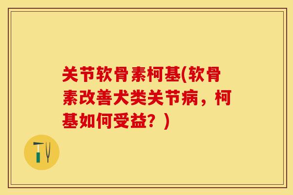关节软骨素柯基(软骨素改善犬类关节病，柯基如何受益？)