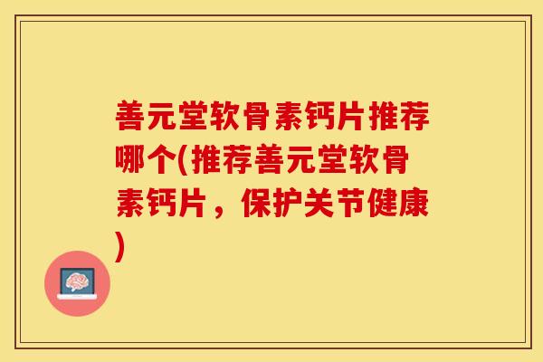 善元堂软骨素钙片推荐哪个(推荐善元堂软骨素钙片，保护关节健康)