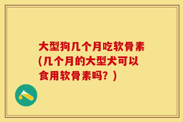 大型狗几个月吃软骨素(几个月的大型犬可以食用软骨素吗？)