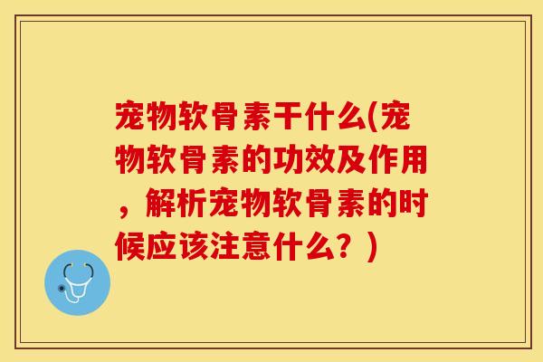 宠物软骨素干什么(宠物软骨素的功效及作用，解析宠物软骨素的时候应该注意什么？)