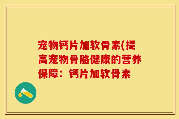 宠物钙片加软骨素(提高宠物骨骼健康的营养保障：钙片加软骨素