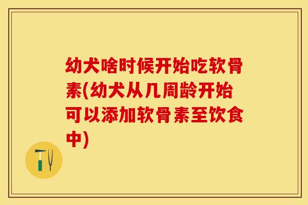 幼犬啥时候开始吃软骨素(幼犬从几周龄开始可以添加软骨素至饮食中)