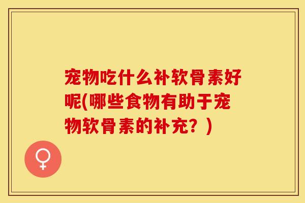 宠物吃什么补软骨素好呢(哪些食物有助于宠物软骨素的补充？)