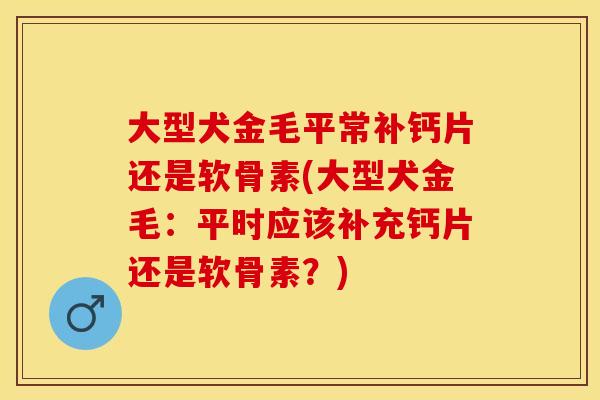 大型犬金毛平常补钙片还是软骨素(大型犬金毛：平时应该补充钙片还是软骨素？)