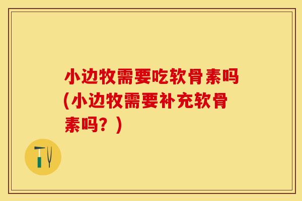 小边牧需要吃软骨素吗(小边牧需要补充软骨素吗？)