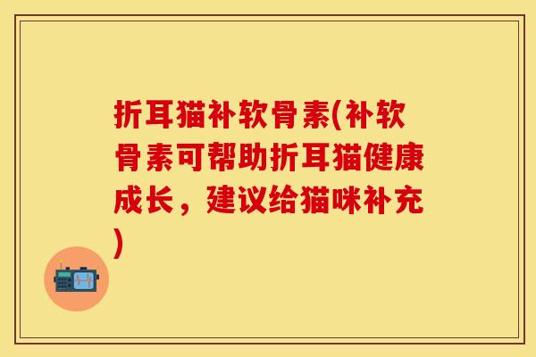 折耳猫补软骨素(补软骨素可帮助折耳猫健康成长，建议给猫咪补充)