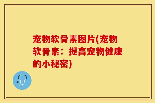 宠物软骨素图片(宠物软骨素：提高宠物健康的小秘密)