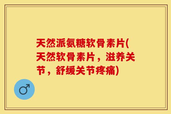 天然派氨糖软骨素片(天然软骨素片，滋养关节，舒缓关节疼痛)