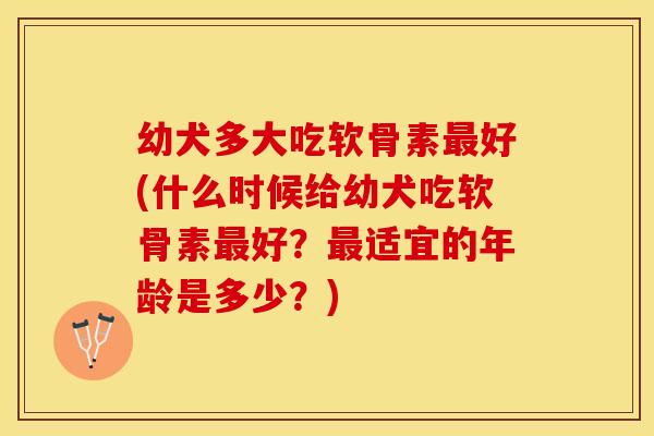 幼犬多大吃软骨素最好(什么时候给幼犬吃软骨素最好？最适宜的年龄是多少？)