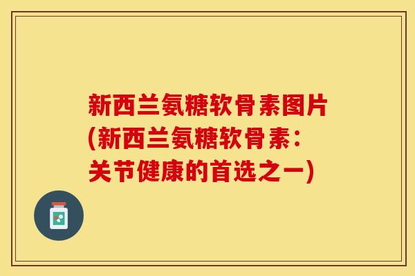 新西兰氨糖软骨素图片(新西兰氨糖软骨素：关节健康的首选之一)