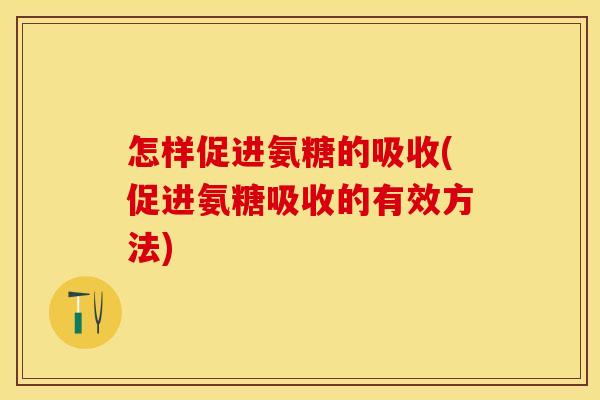 怎样促进氨糖的吸收(促进氨糖吸收的有效方法)