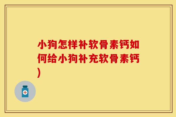 小狗怎样补软骨素钙如何给小狗补充软骨素钙)