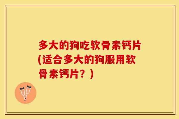 多大的狗吃软骨素钙片(适合多大的狗服用软骨素钙片？)