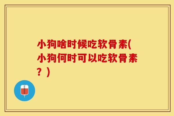 小狗啥时候吃软骨素(小狗何时可以吃软骨素？)