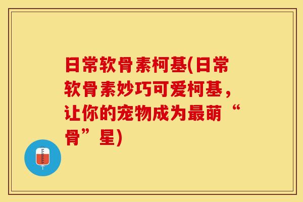 日常软骨素柯基(日常软骨素妙巧可爱柯基，让你的宠物成为最萌“骨”星)