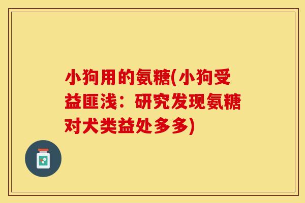 小狗用的氨糖(小狗受益匪浅：研究发现氨糖对犬类益处多多)