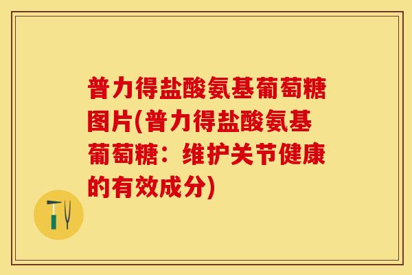 普力得盐酸氨基葡萄糖图片(普力得盐酸氨基葡萄糖：维护关节健康的有效成分)